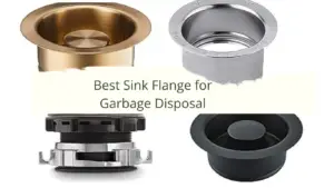 best sink flange for garbage disposal