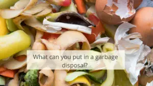 What can you put in a garbage disposal 