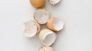 eggshells in a garbage disposal