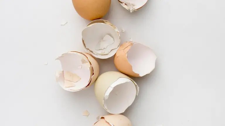 Can eggshells go in a garbage disposal? 