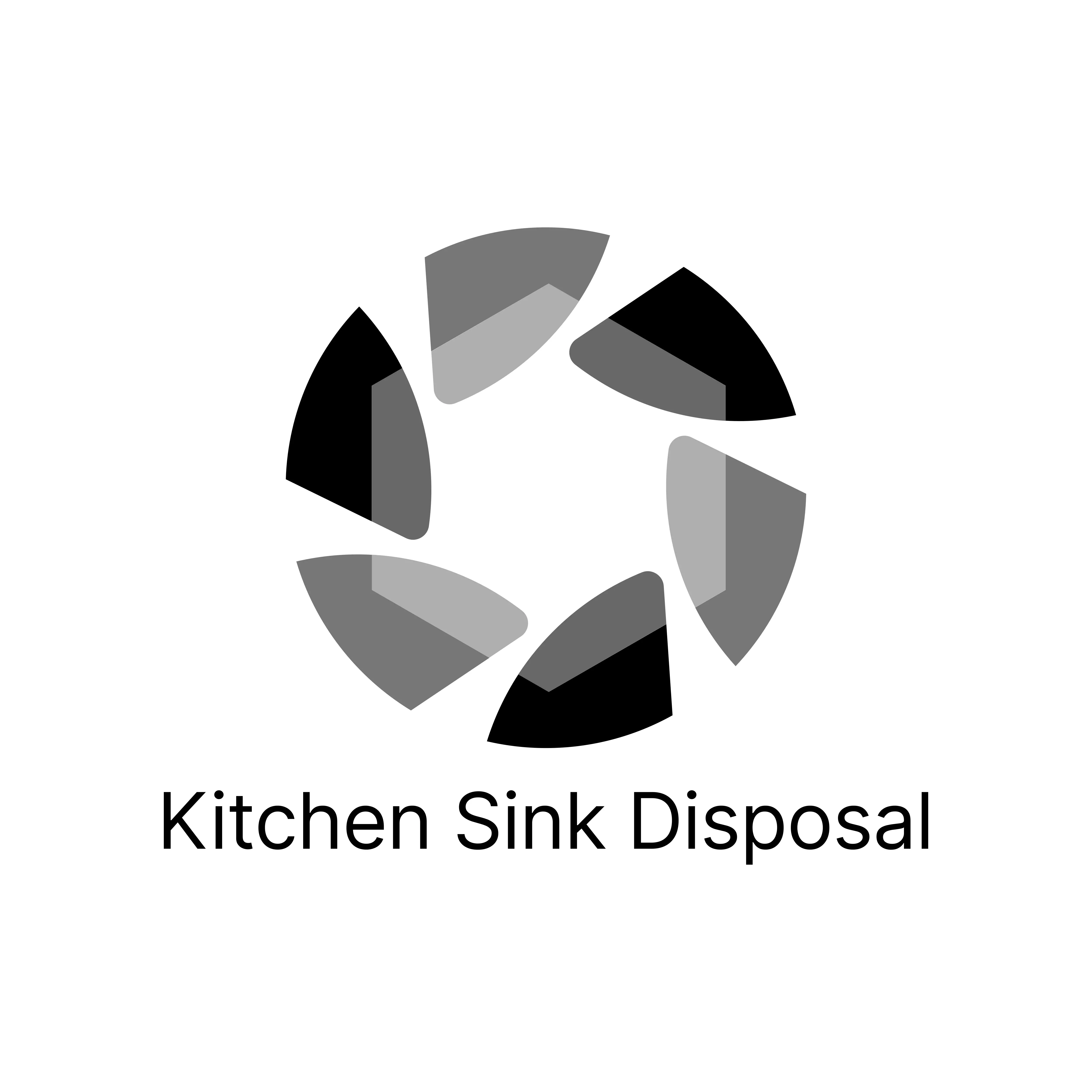 Kitchen Sink Disposal